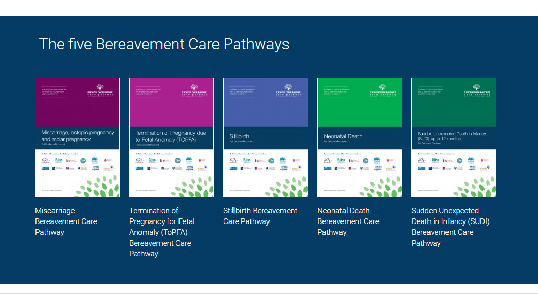 National Bereavement Care Pathway | Sands - Saving Babies' Lives ...