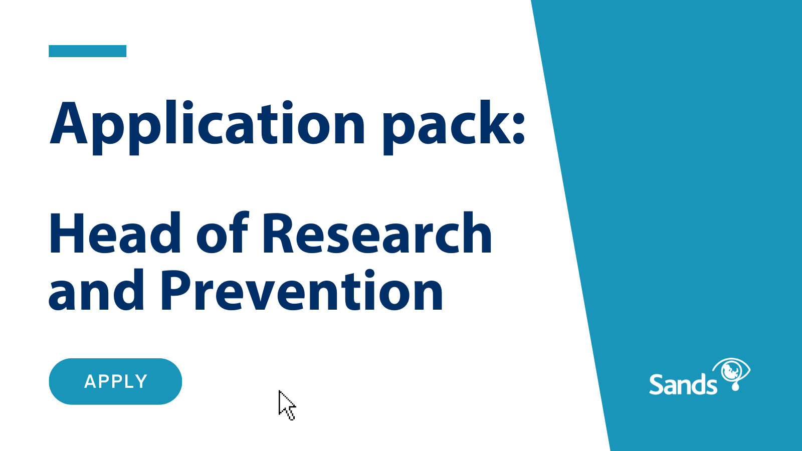 Head of Research and Prevention (Job-Share) Application Pack