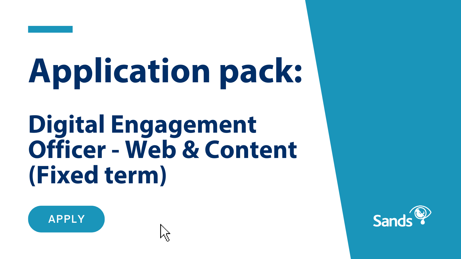 Application Pack Digital Engagement Officer Web And Content