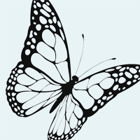 Sands, stillbirth, enewsletter, charity, neonatal death, baby, death, august, 2016, summer