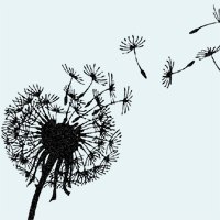 e-newsletter, Sands, stillbirth, NHS maternity review, stillbirth, neonatal death