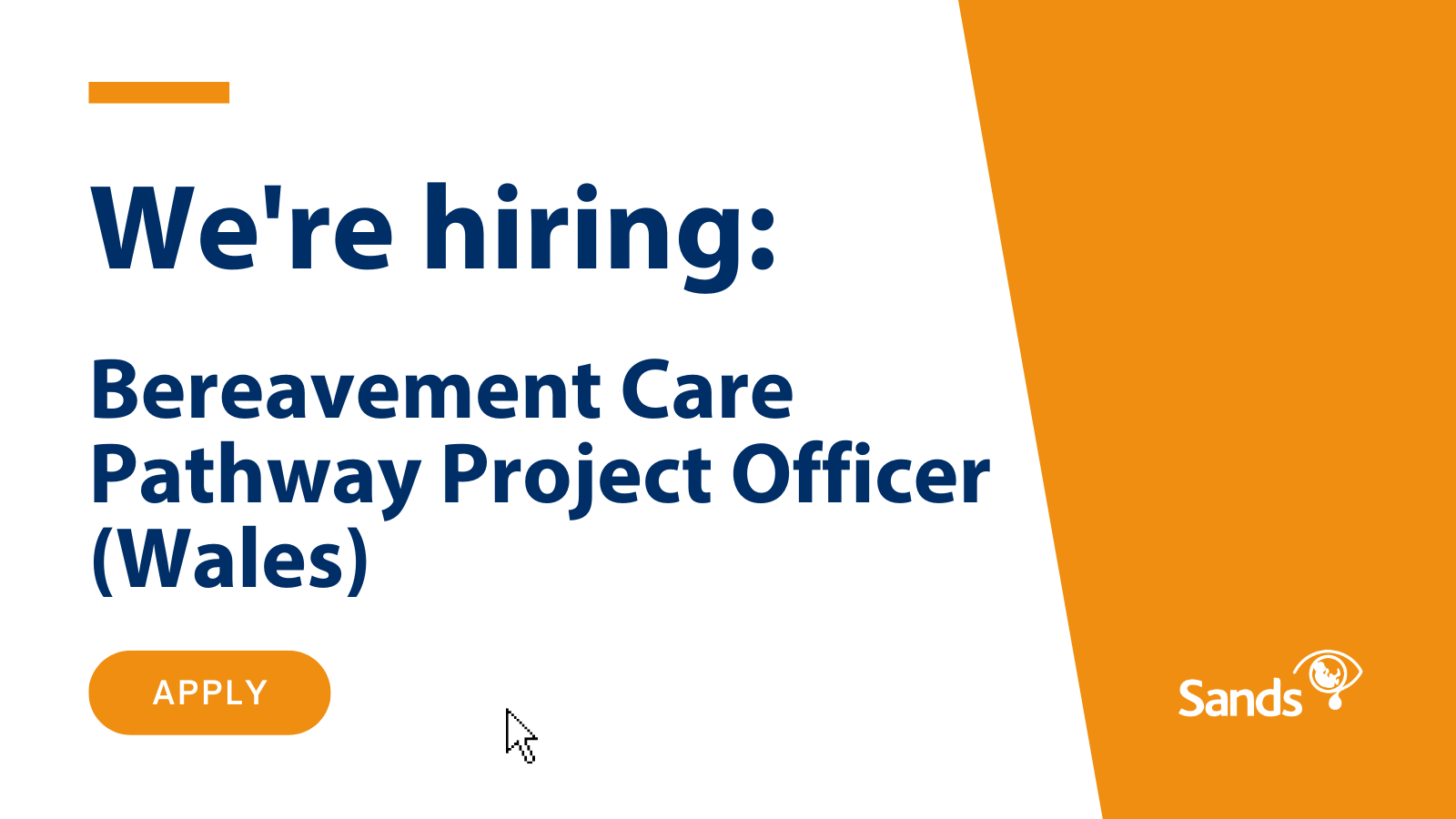 We are hiring Bereavement Care Pathway Project Officer (Wales)