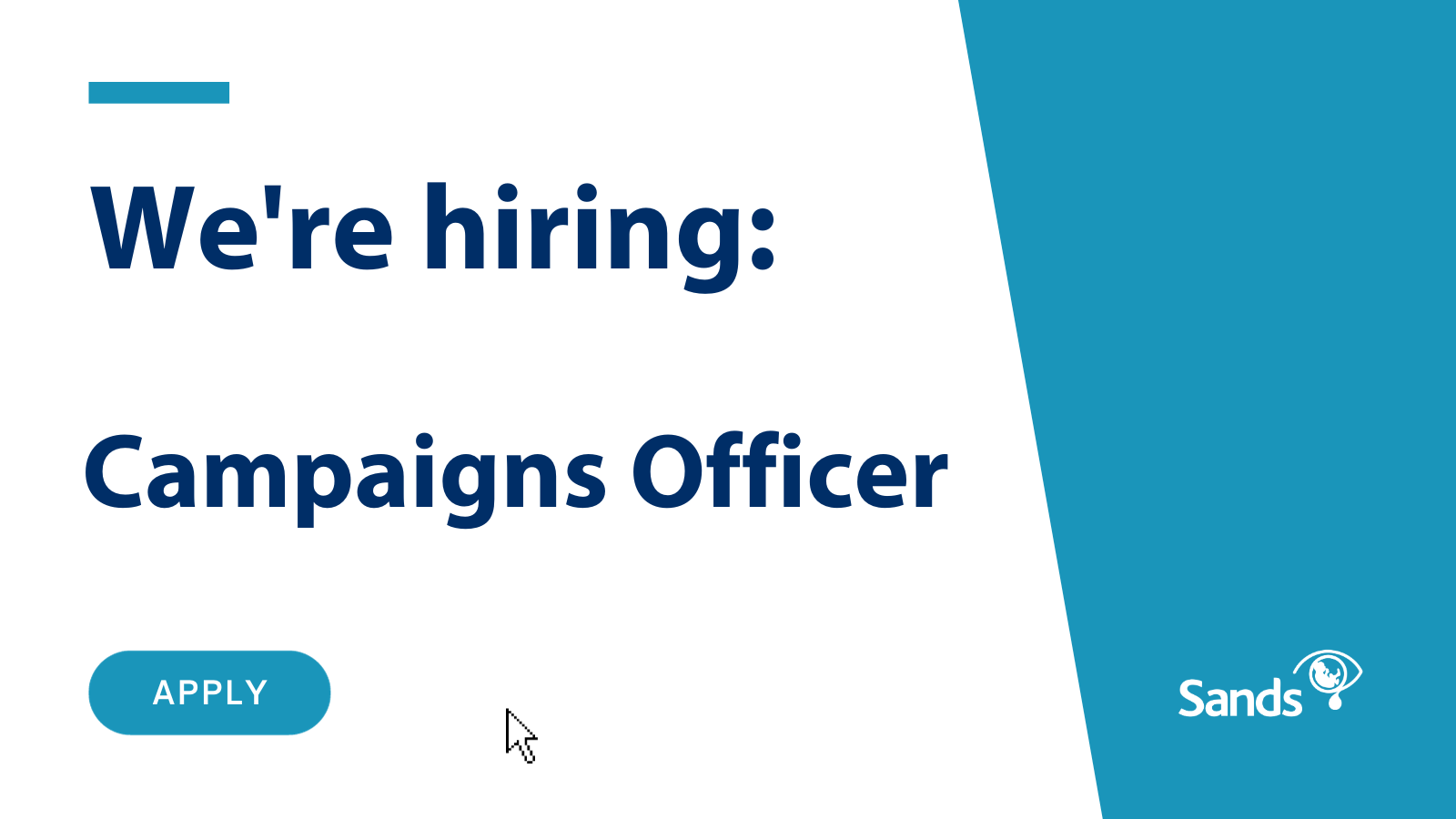 We are hiring Campaigns Officer