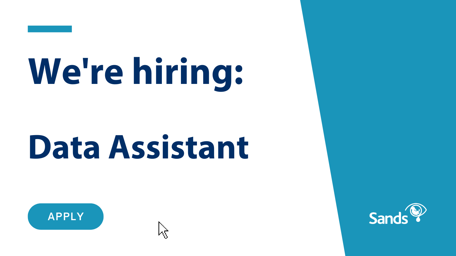 We are hiring Data Assistant