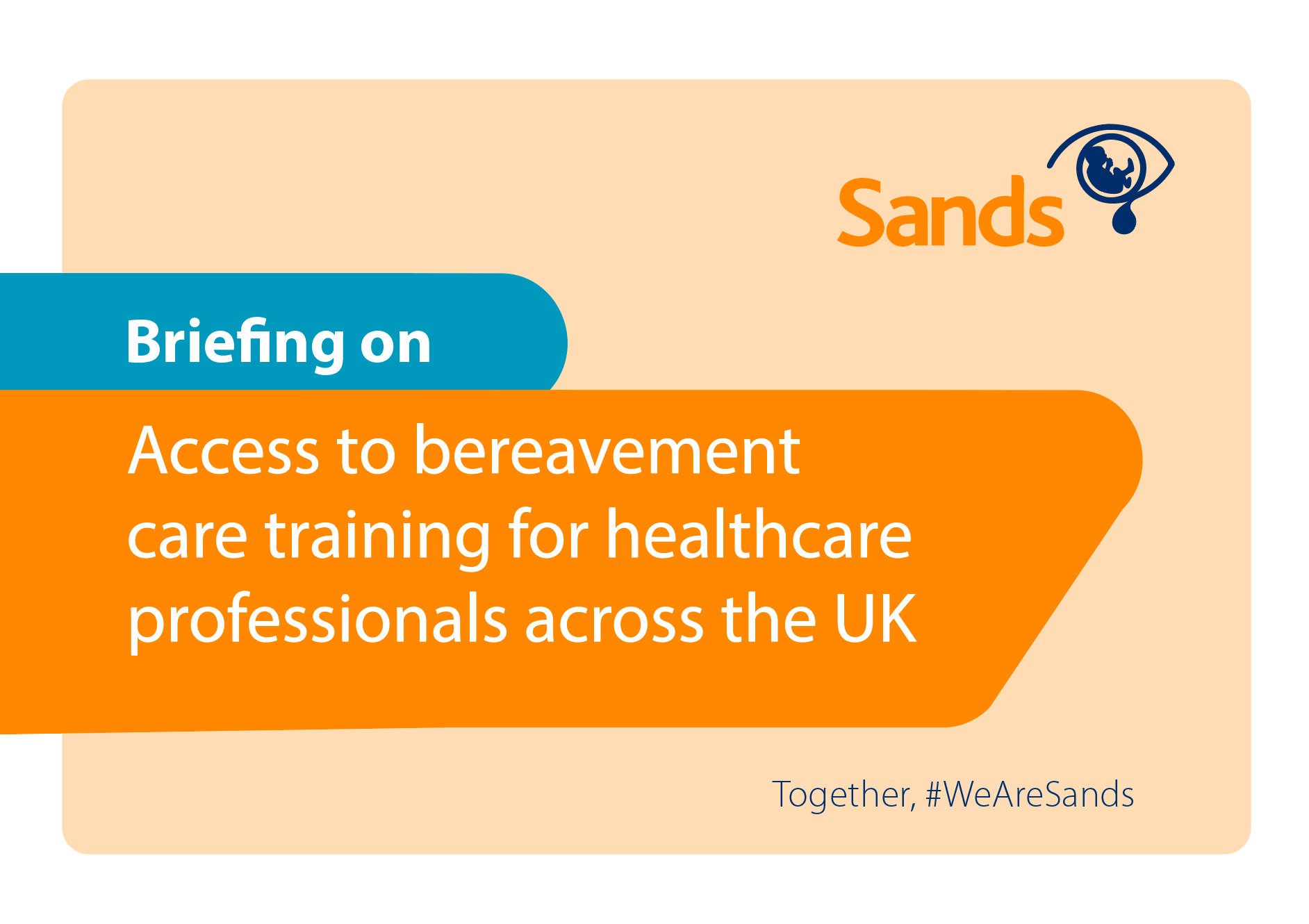 Briefing on Access to bereavement care training for healthcare professionals across the UK