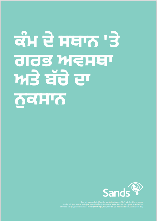 Front cover of Pregnancy and Baby Loss at Work in Punjabi