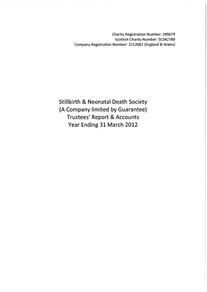 Accounts front cover 2012