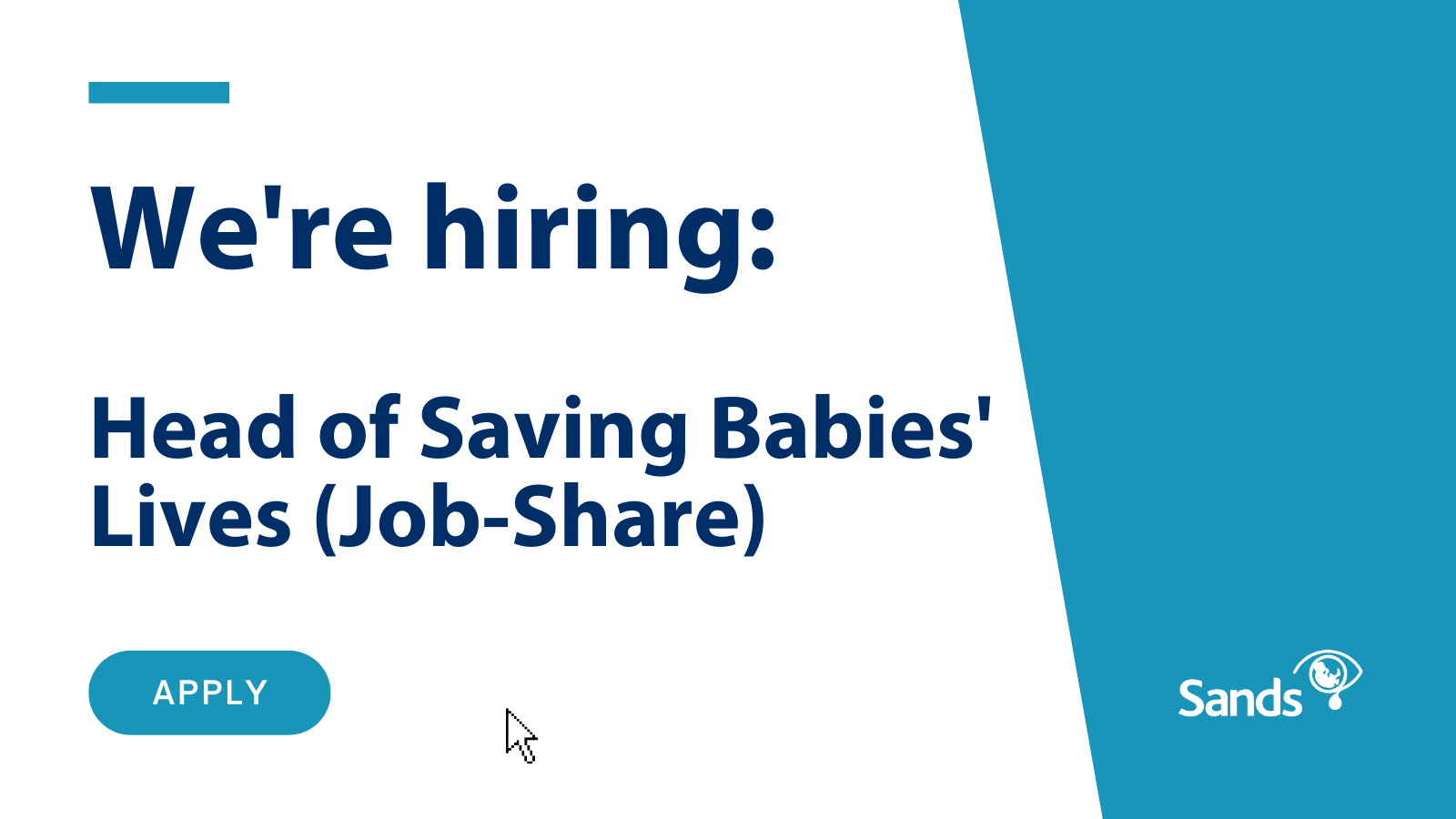 We are hiring Head of Saving Babies' Lives (Job-Share)