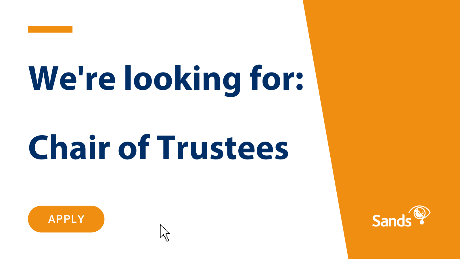 We are hiring Chair of Trustees