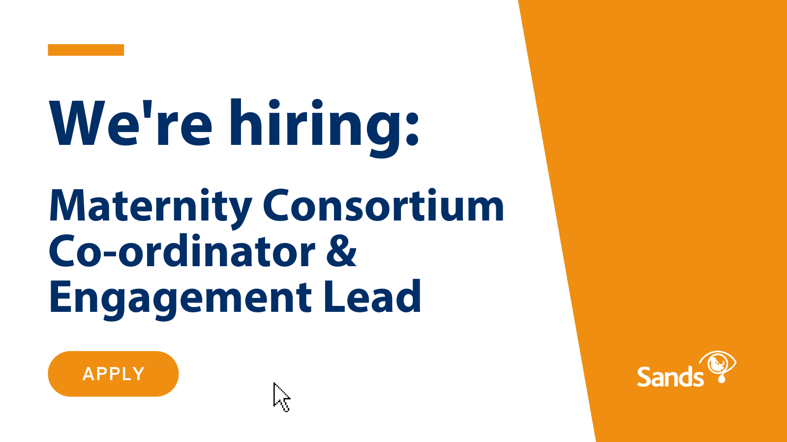 We are hiring Maternity Consortium Co-ordinator and Engagement Lead (6-month Fixed-Term Contract or Secondment)