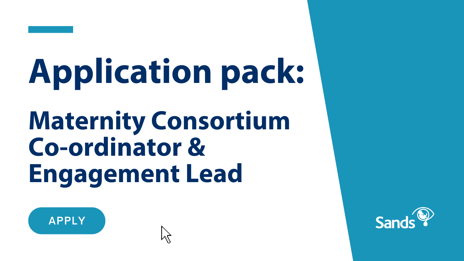 Application Pack Maternity Consortium Co-ordinator and Engagement Lead (6-month Fixed-Term Contract or Secondment)