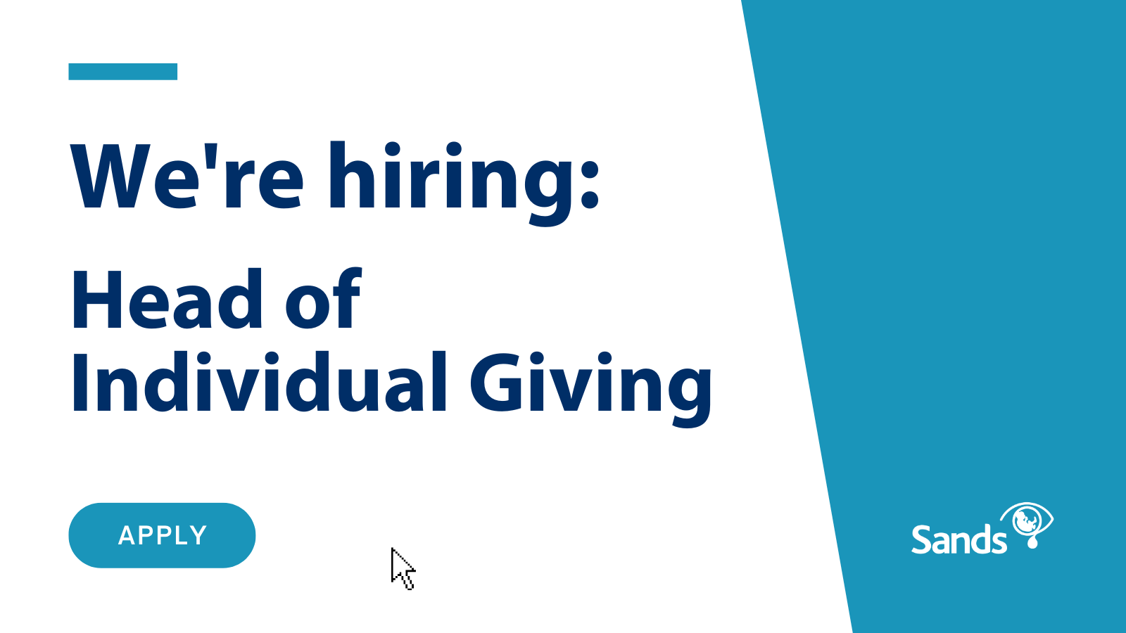 We are hiring Head of Individual Giving