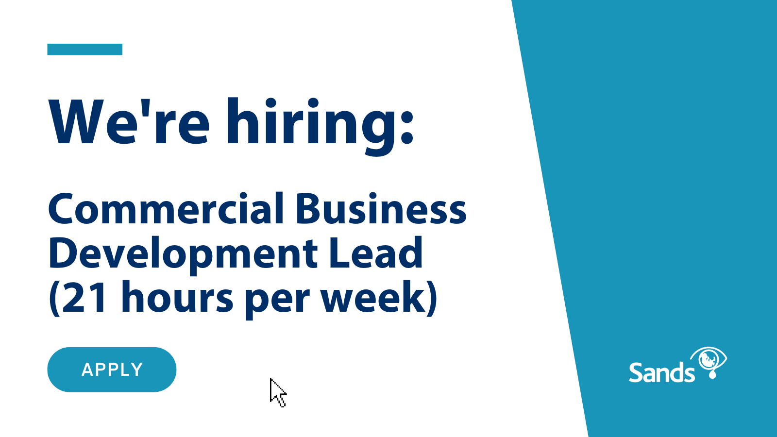 We are hiring Commercial Business Development Lead