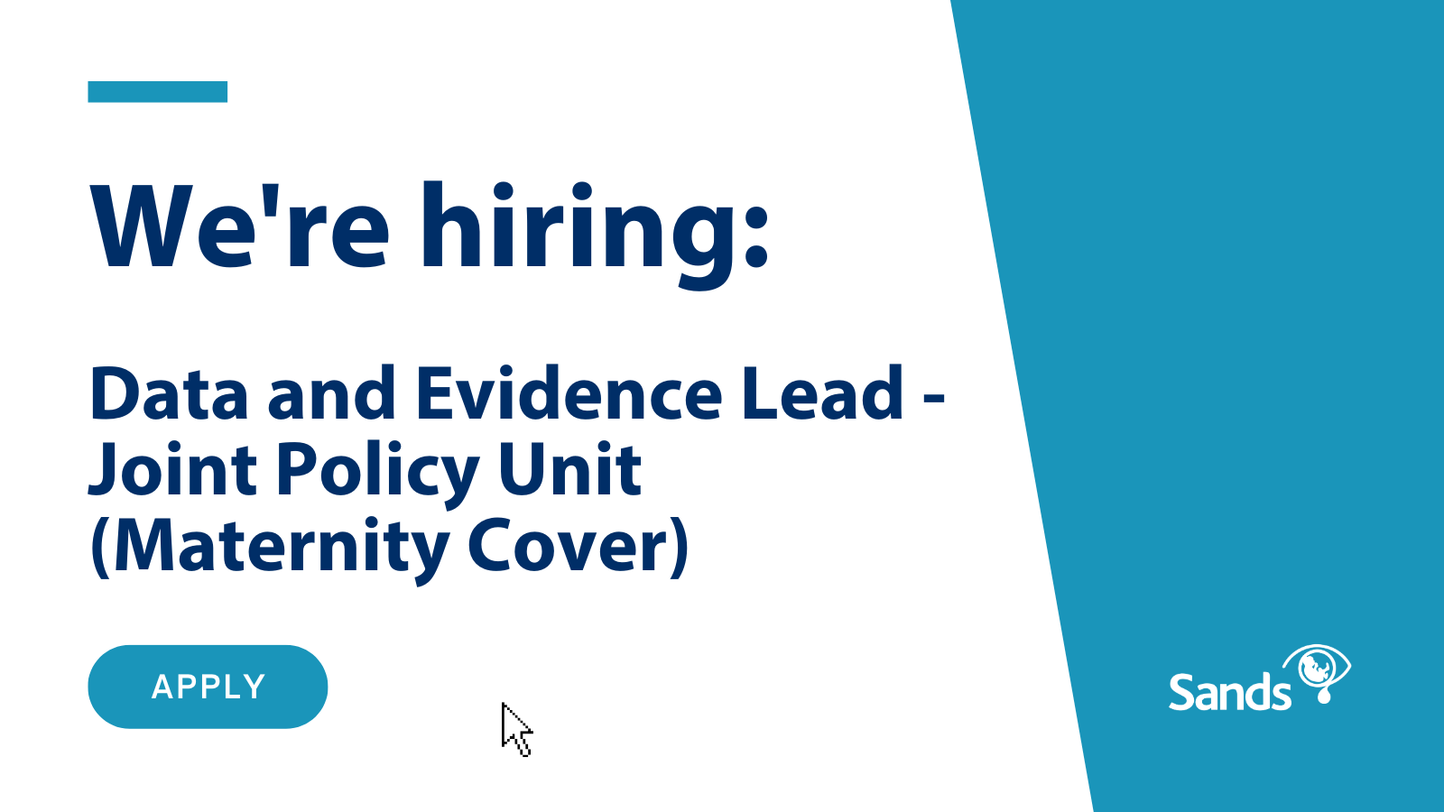 We are hiring Data and Evidence Lead - Joint Policy Unit (Maternity Cover)