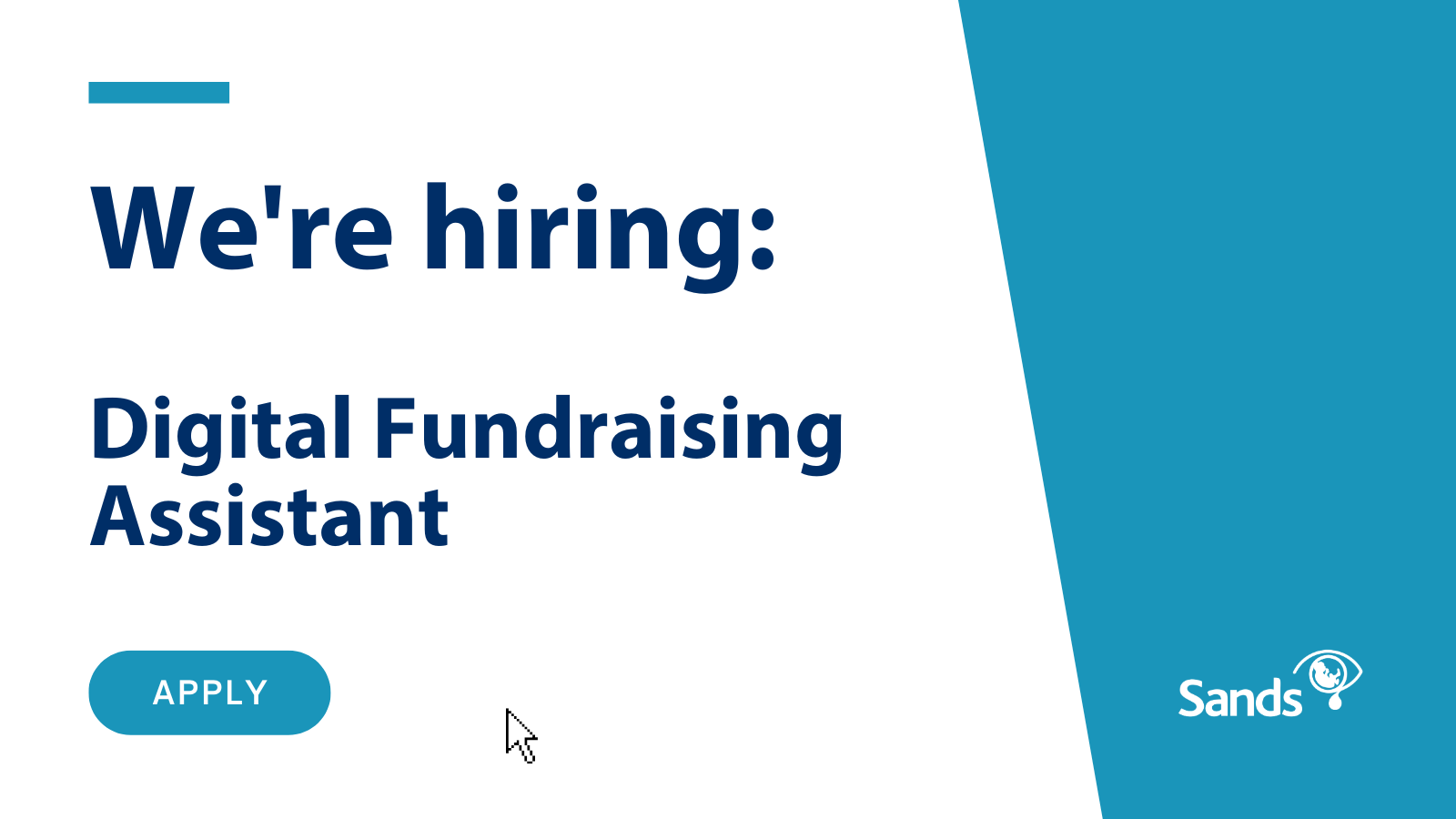 We are hiring Digital Fundraising Assistant