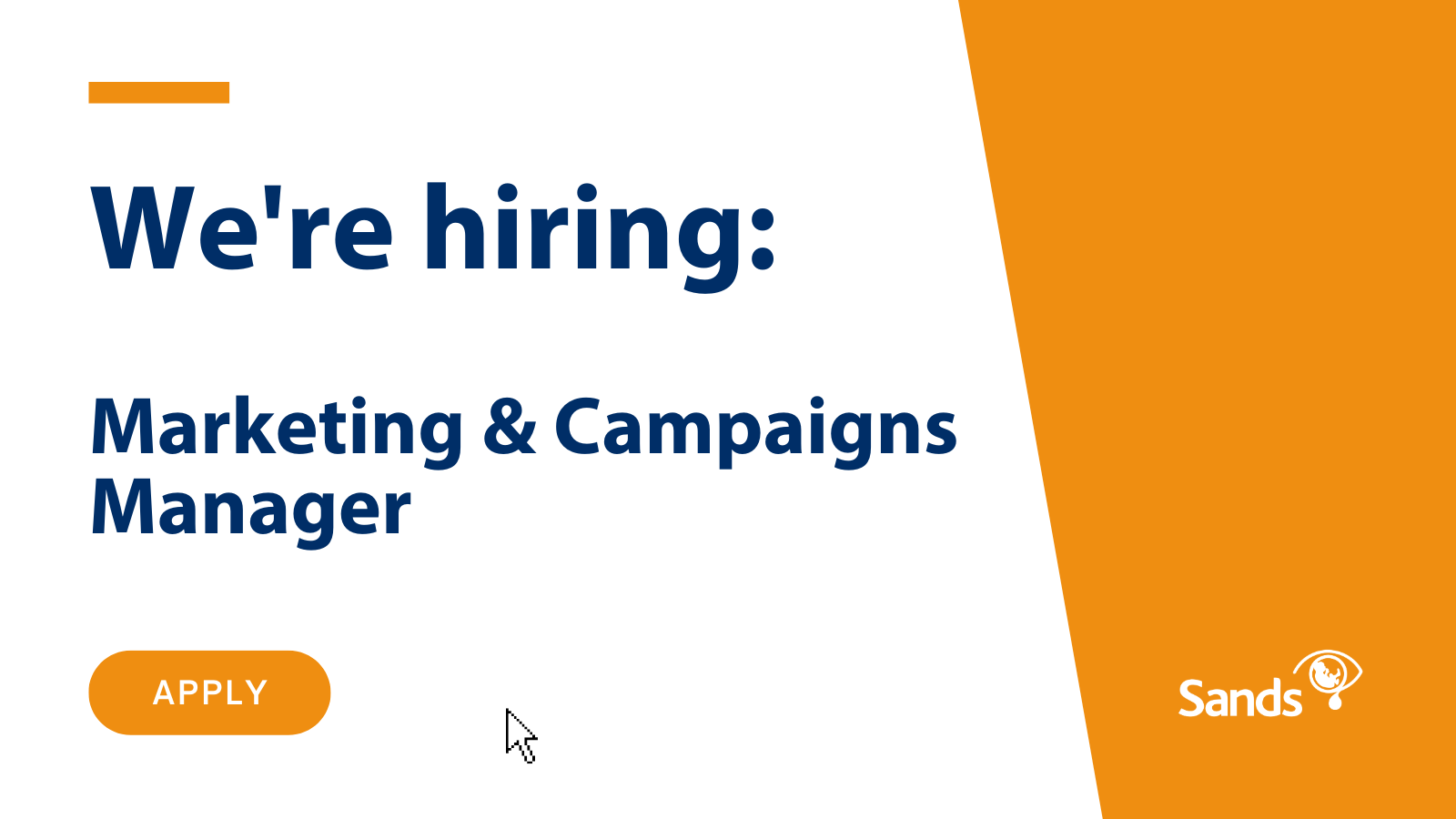 We are hiring Marketing and Campaigns Manager