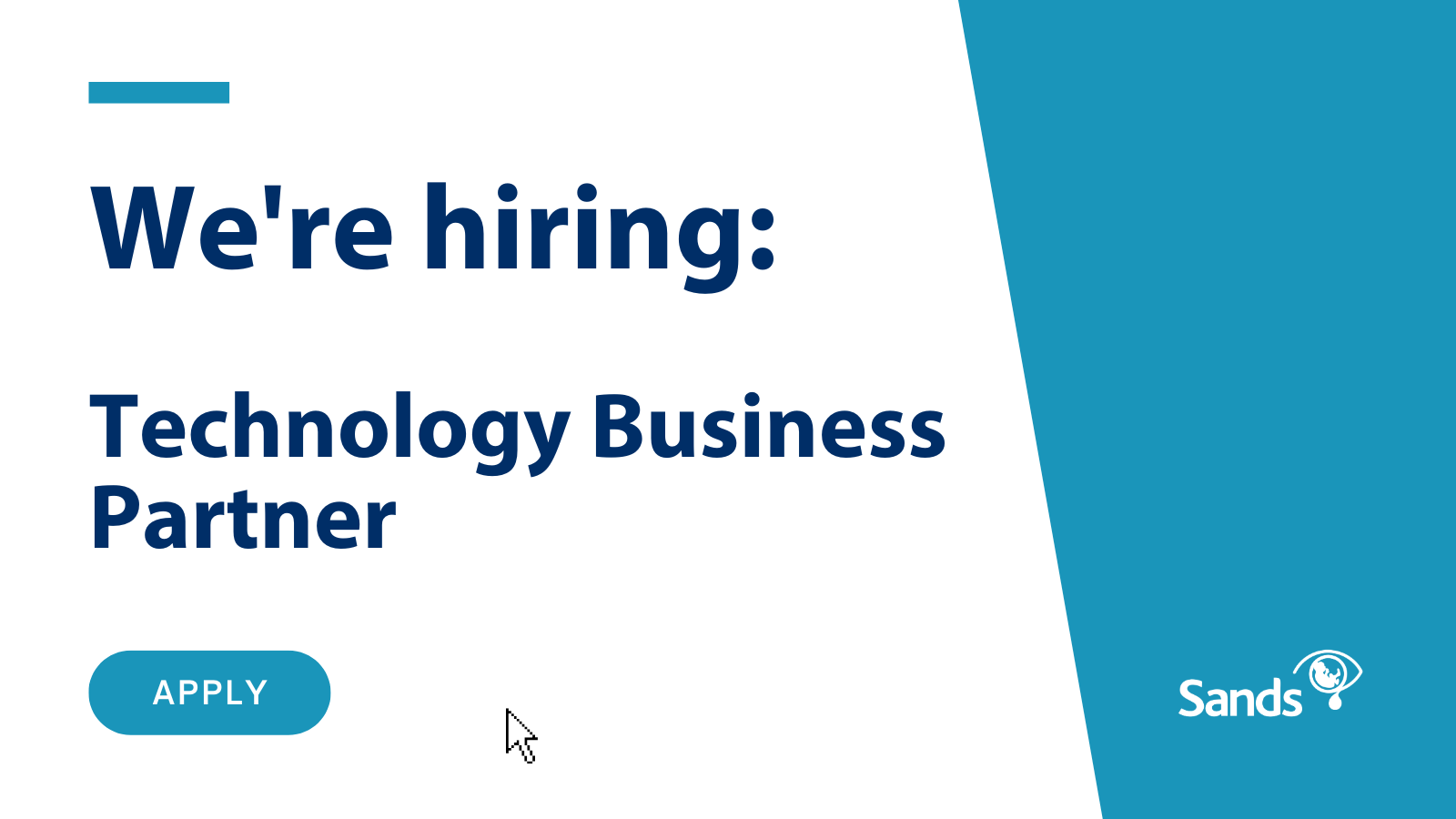 We are hiring Technology Business Partner