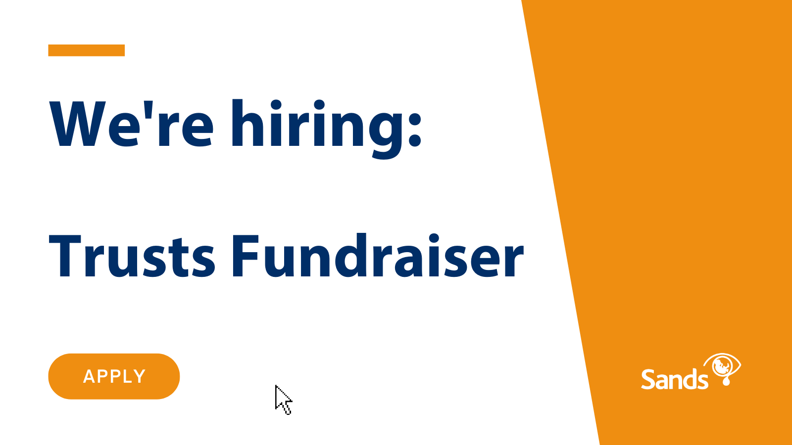 We are hiring Trusts Fundraiser