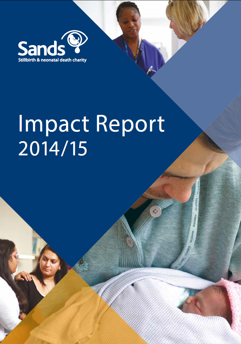 Sands Impact Report 2014/2015
