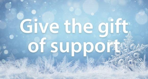 wintery background featuring snow and snowflakes, with the text "Give the give of support"