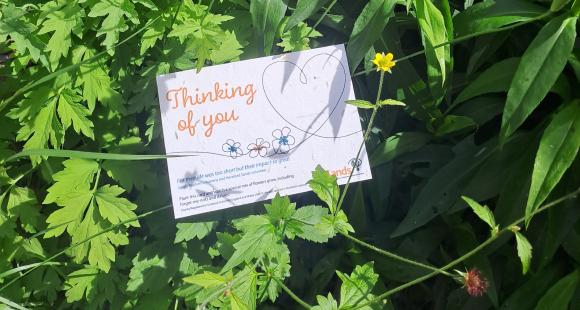 seeded card with text "Thinking of You" resting in a bed of green leaves