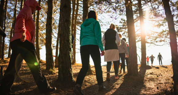 Group of people walking through trees in the sunshine
