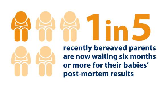 Text reads one in five recently bereaved parents are now waiting six months or more for their babies’ post-mortem results