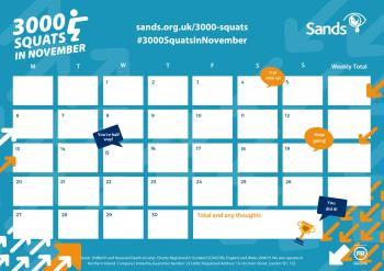 3000 Squats in November Tracker