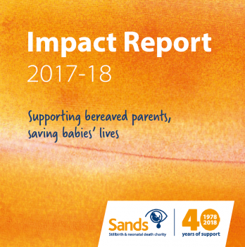 Sands Impact Report 2018