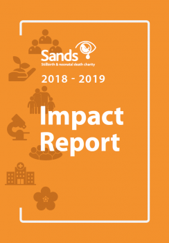 Impact Report 2018-2019
