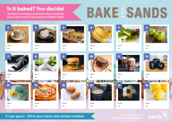 Preview of the Is it Baked game sheet which features pictures of random items which could be made of cake