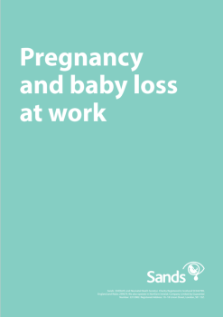 Pregnancy and baby loss at work support resource