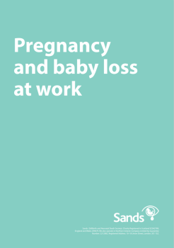 Front cover of Pregnancy and baby loss at work resource