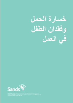 Front cover of the Pregnancy and Baby Loss at Work resource in Arabic