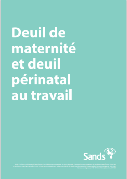 Front cover of Pregnancy and Baby Loss at Work document in French