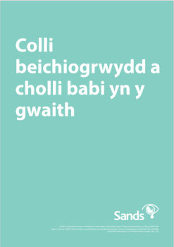 Front cover of Pregnancy and Baby Loss at Work document in Welsh