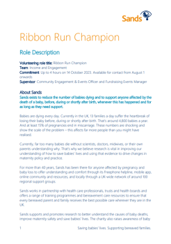 Ribbon Run Champion Role Description
