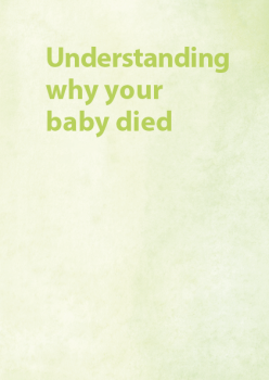 Sands - Understanding why your baby died
