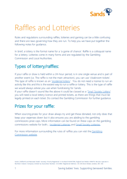 preview of raffle document