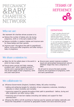 Pregnancy & Baby Charities Network - Terms of Reference