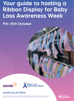 preview of the ribbon display guide