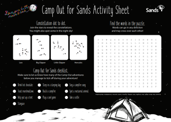 preview of activity sheet