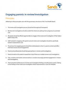 Sands Principles of Parents Engagement in Review