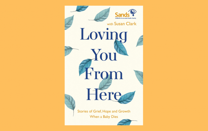 Loving you from here book