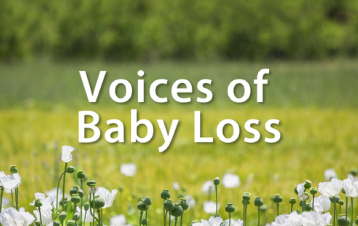 Image of field of white flowers and text "voices of baby loss"