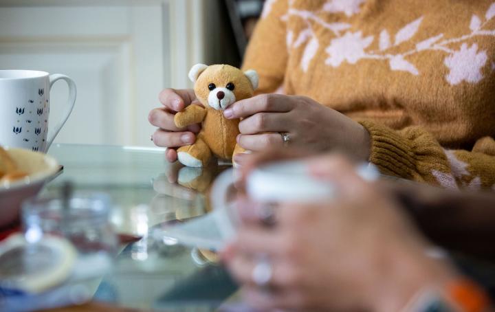 Lady's hands holding a teddy bear