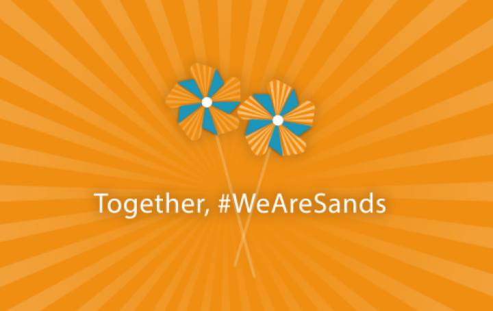 Orange image of pinwheels and Together, We Are Sands