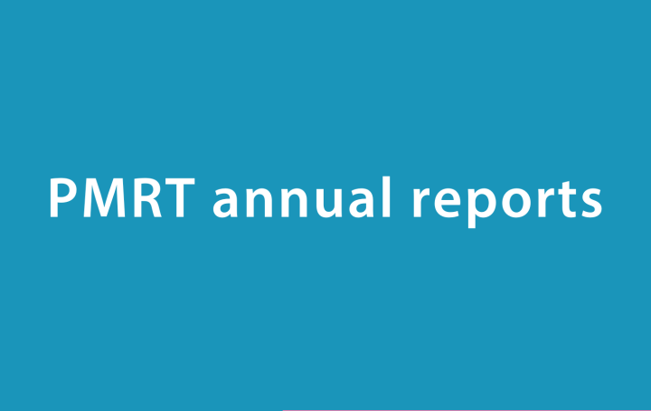 Perinatal Mortality Review Tool annual reports