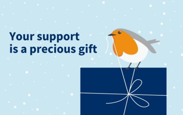 Robin sat on top of a present with string in its mouth. Snowy background with text that says 'Your support is a precious gift'