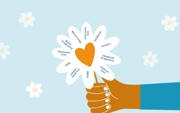 An illustration of a hand holding a flower with all the different types of pregnancy and baby loss listed on each petal